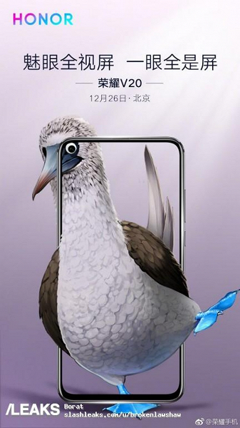 Honor изящно обыграла дырявый экран смартфона Honor View 20 при помощи... экзотических птиц